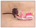 Hey, I can go fast with this!