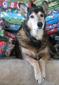 Protecting the Christmas Gifts