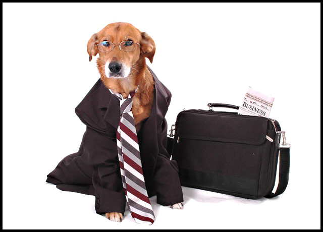 Working Like a Dog