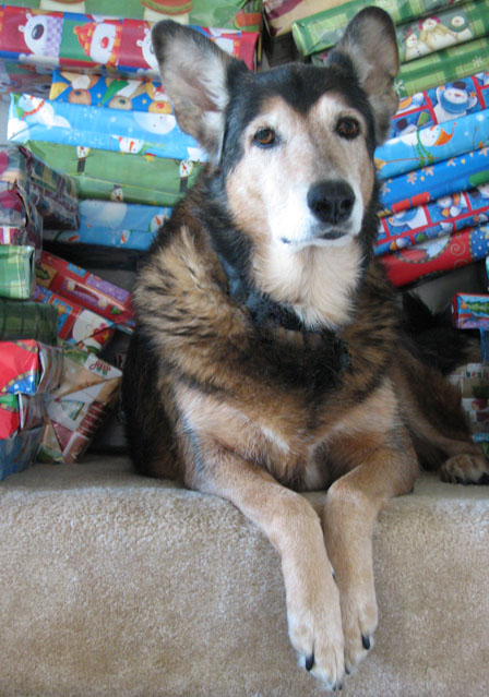 Protecting the Christmas Gifts
