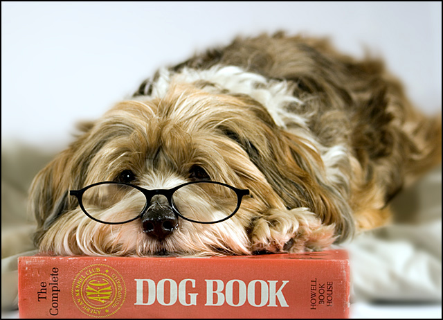 Relaxing With a Good Book