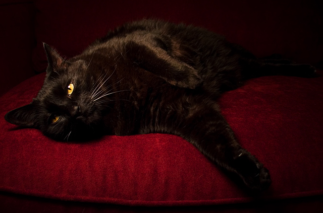 Kickin' Back