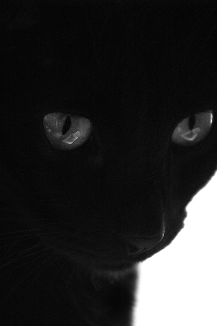 Otis