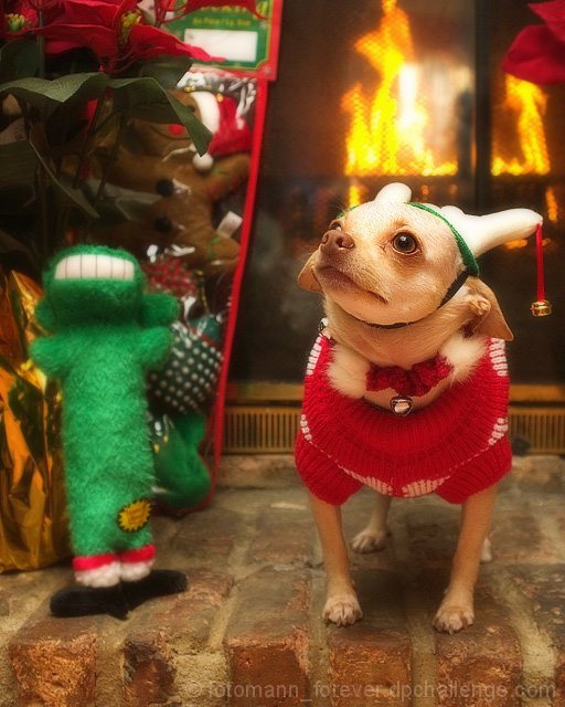 I Know Santa's on His Way... with Lots of Toys and Goodies....