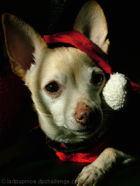 Waiting for Santa