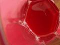 A Glass of Cranberry Juice