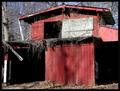 Abandoned Shed