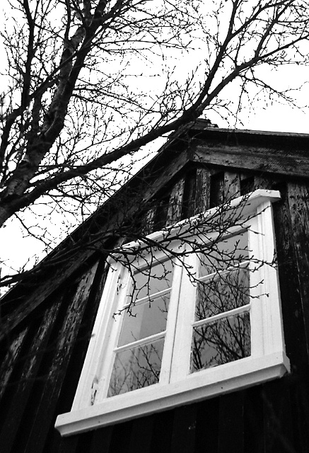 Window to the Past