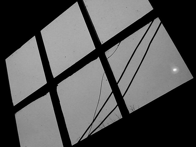 Window & Light