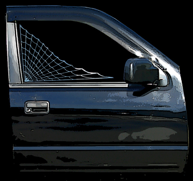 Custom Tint