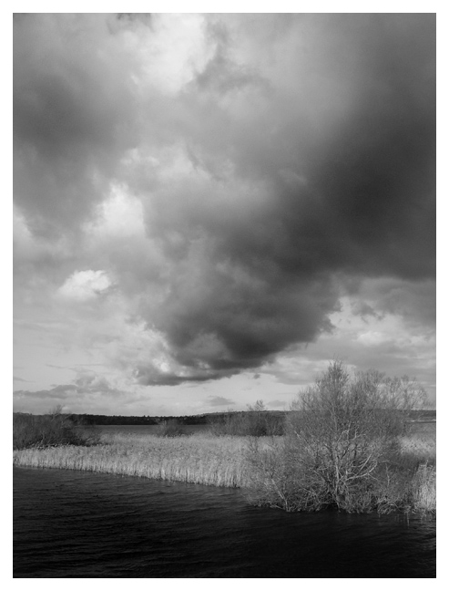 December Sky