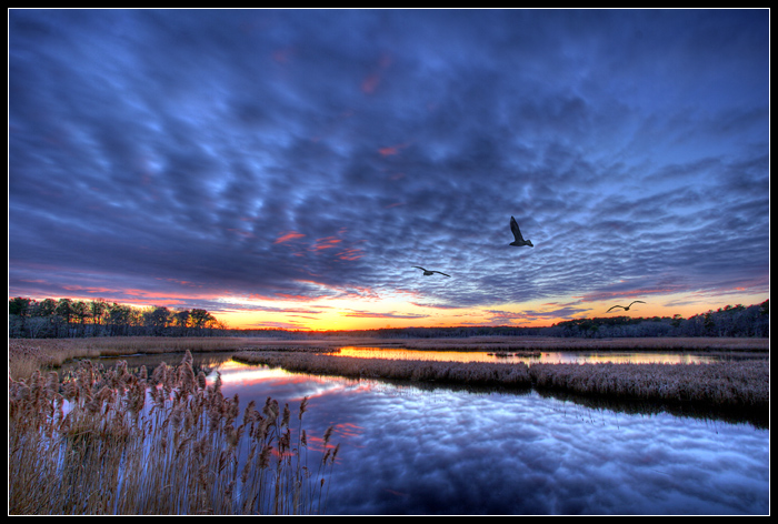 Winter Sunset