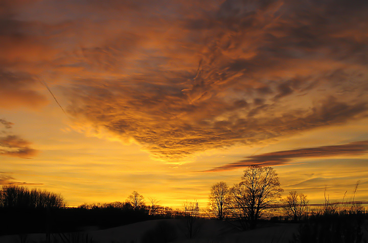 Nature's Rich Palette