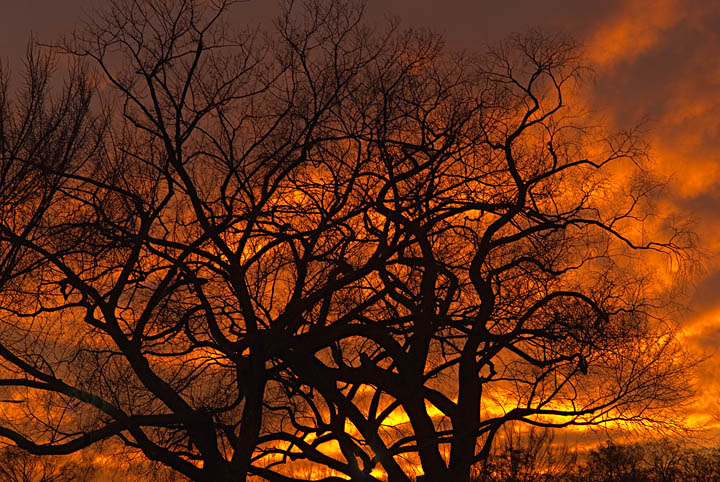 Fire in the sky