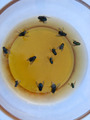 You Catch More Flies With Honey.....