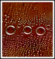 Abstract Study in Brown