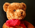 Teddy