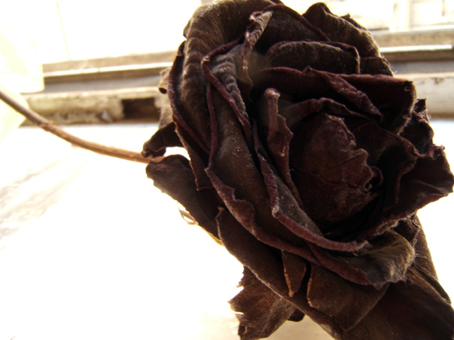 forgotten love