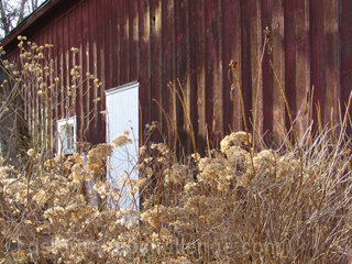 Brush Barn