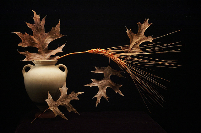 Oak Leaves, Urn and Grain