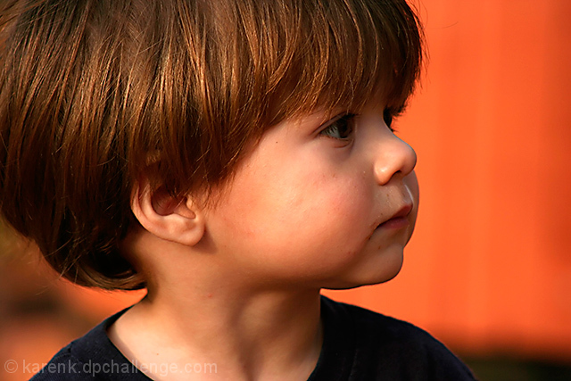 Brown Haired Boy