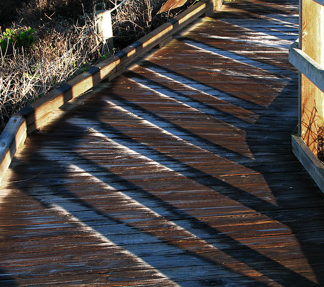 Morning Frost on the Boardwalk