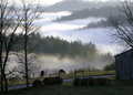 Farm Living