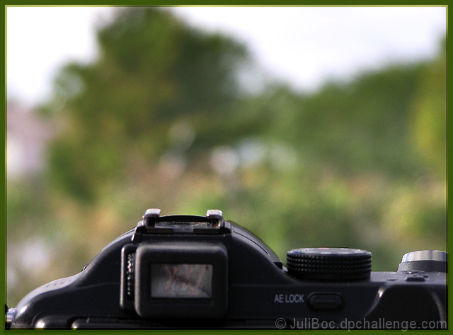 Favorite retirement passtime:  nature photography