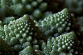 Cauliscape
