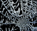 Crystal Web