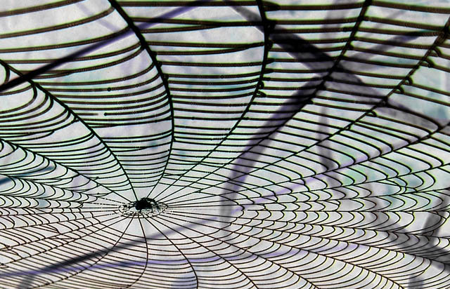 A pattern engineered for strength and beauty