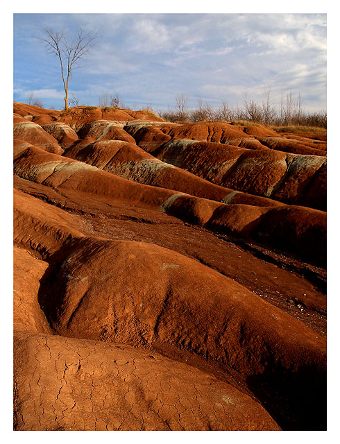 Patterns of Earth