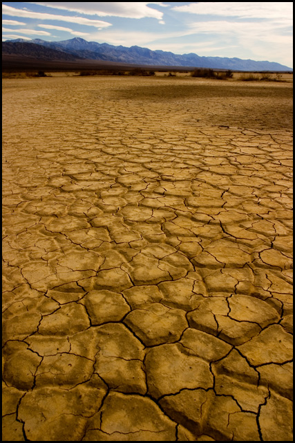 Mud Patterns