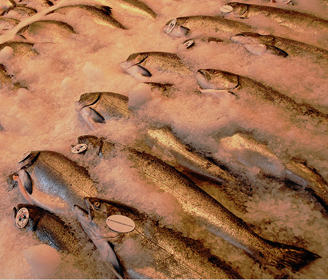 There's Something Fishy in the Pike Street Market