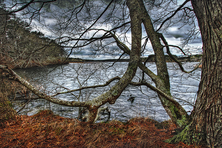 I feel the autumn fail — all that slow fire / denied in me, who has denied desire...