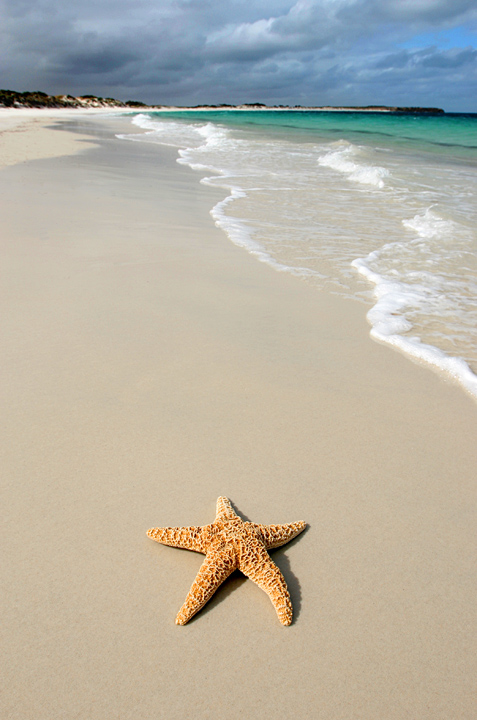 Exposed to the elements