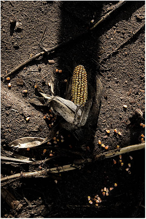 Famine