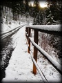 frozen Barrier