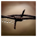 ' . substr('//images.dpchallenge.com/images_challenge/0-999/609/120/446431.jpg', strrpos('//images.dpchallenge.com/images_challenge/0-999/609/120/446431.jpg', '/') + 1) . '
