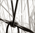 fence lines