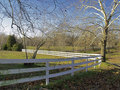 Early Morning on the Ranch