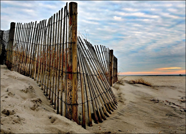 Protection From The Winter Wind