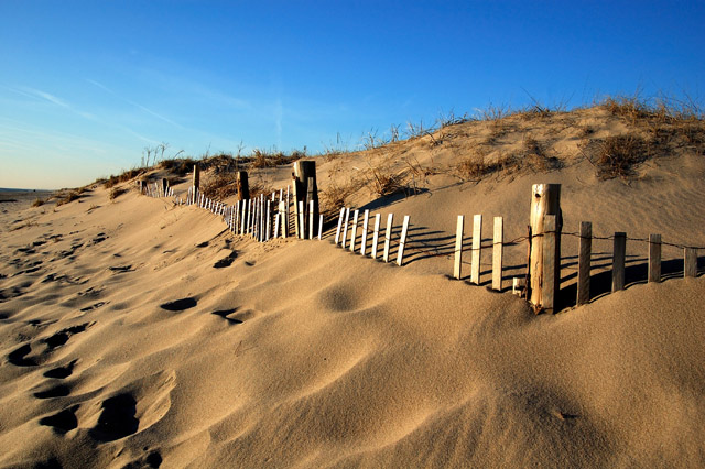 Buried on the Beach