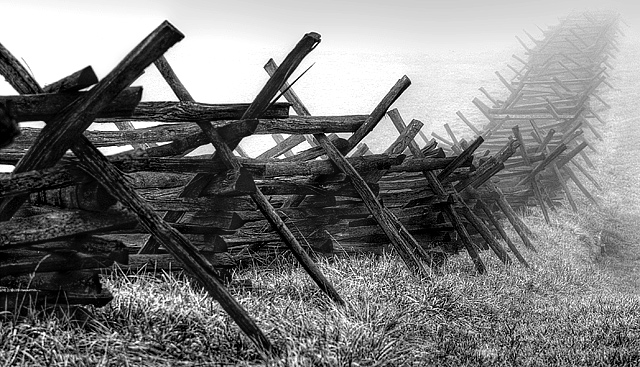 Fence & Fog