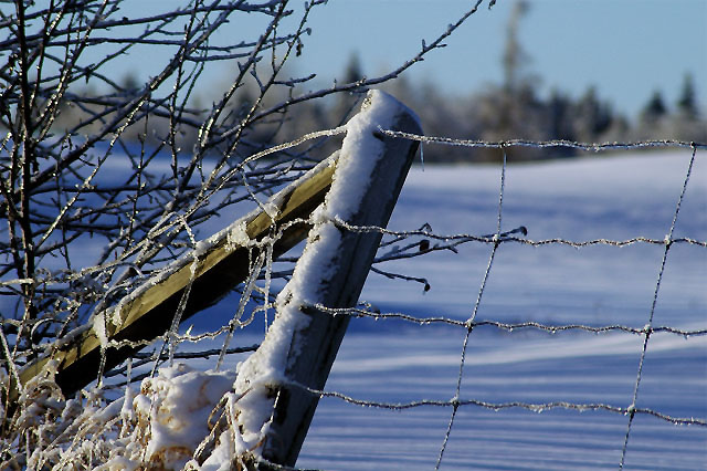 Ice Fence