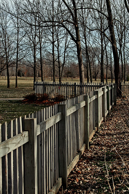 A Fence in the Park
