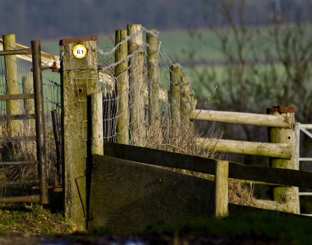 Country Path