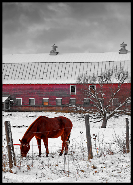 Electric Fence