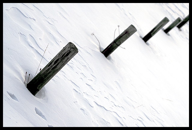 Snow Posts