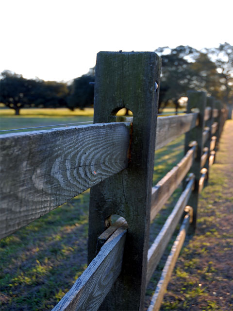 Fenced to Perfection